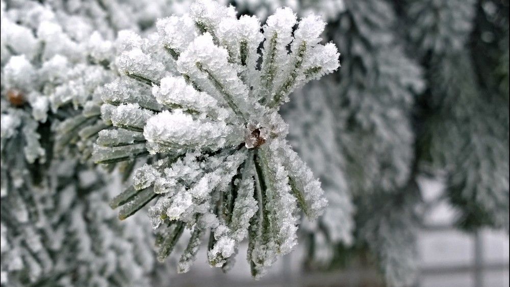 Photograph by Рамазан Боллуев