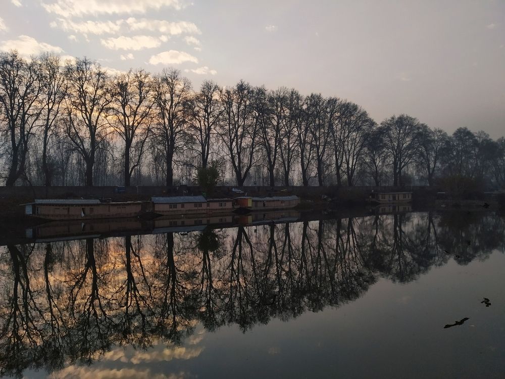 Photograph by Firdous Parray