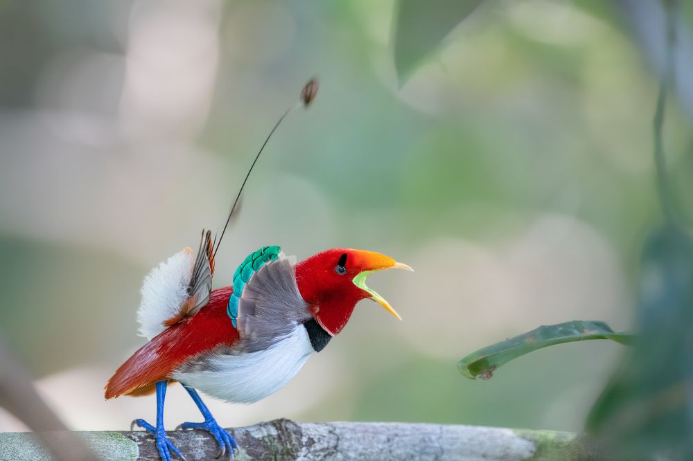 Photograph by Dustin Chen