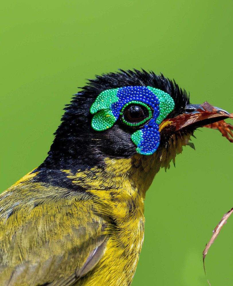 Photograph by Dustin Chen