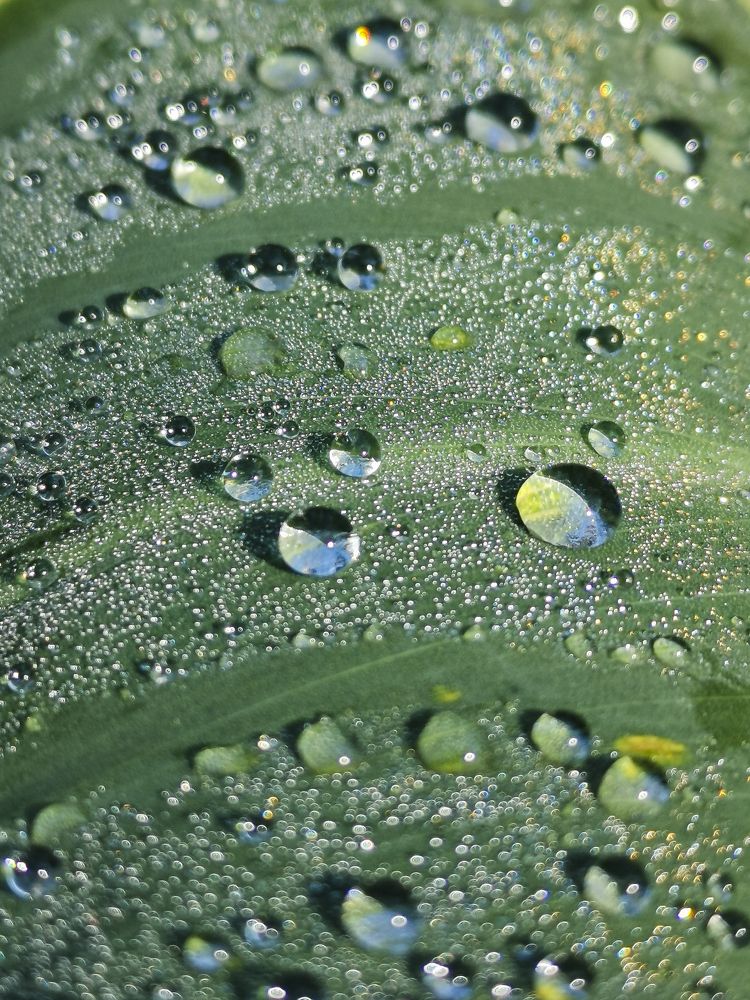 Photograph by Jorge Ivan Vasquez