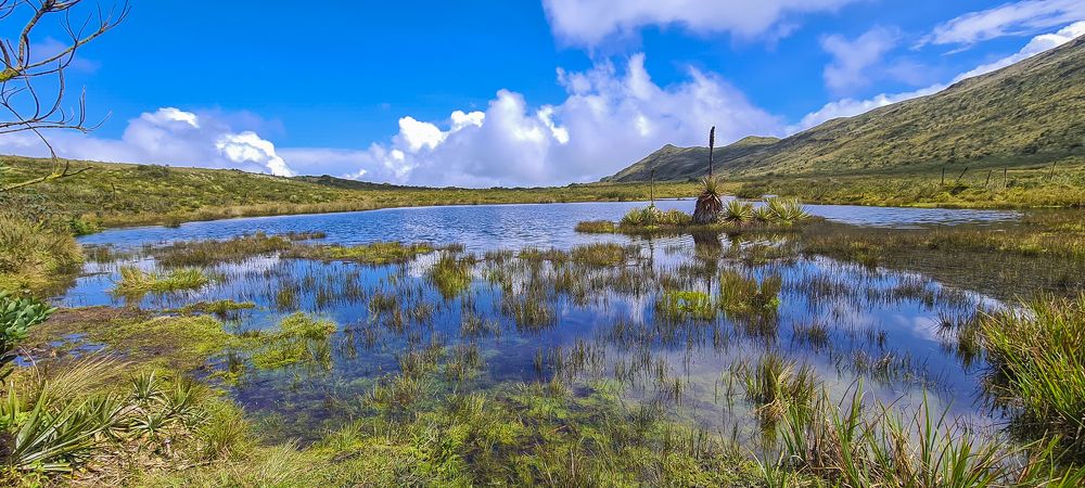 Photograph by Jorge Ivan Vasquez