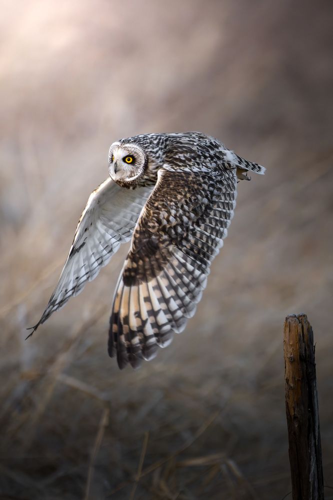 Photograph by Matsubara Hiroki