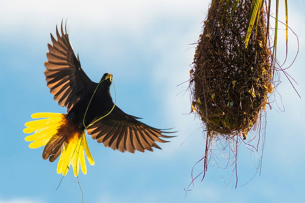 Photograph by Jorge Ivan Vasquez