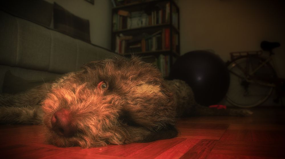 Photograph by Dragan Trosic