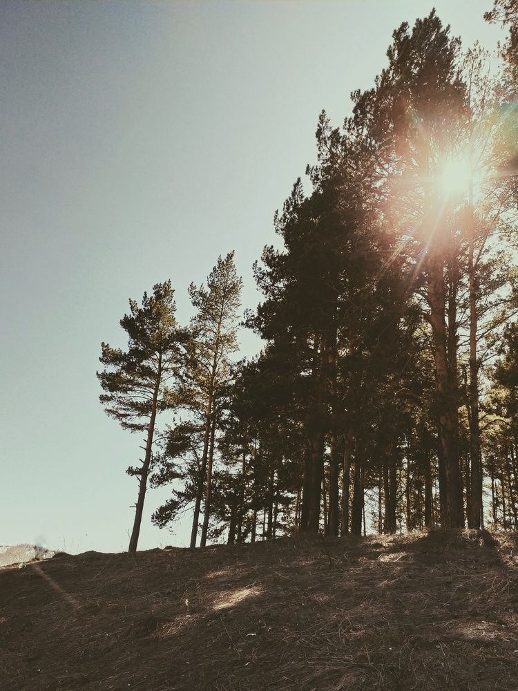 Photograph by Ольга Юминова