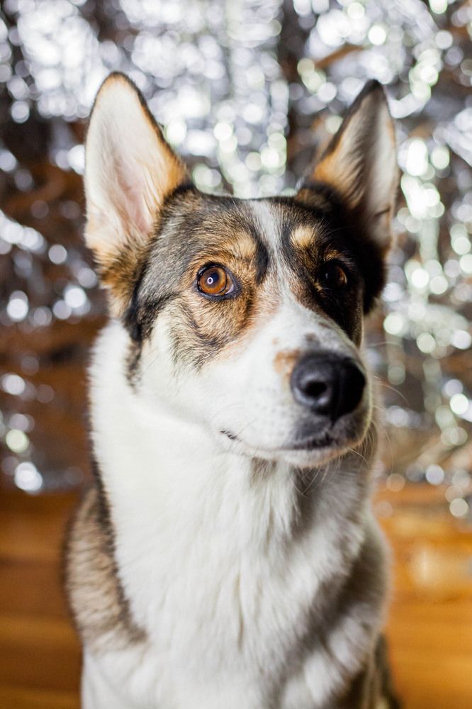 Photograph by Маргарита Чан-Жу-Тин