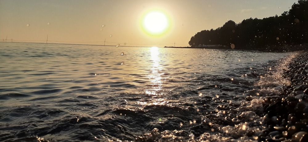 Photograph by Александр