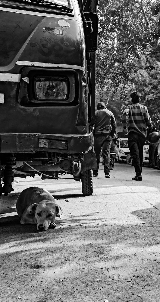 Photograph by Kuldeep Rajora