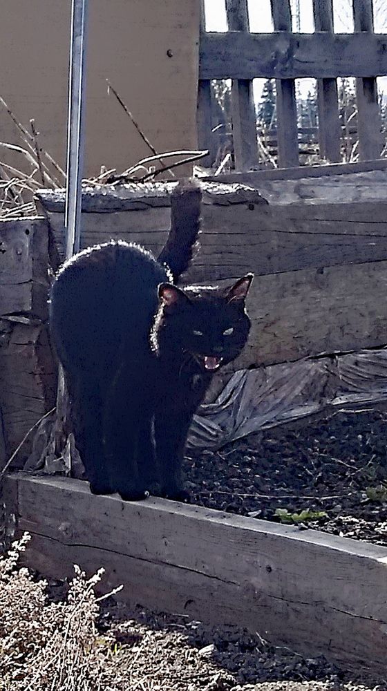 Photograph by Анатолий Майдуров