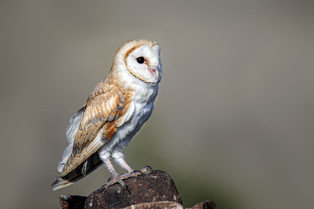 Фотография автора Suresh S S