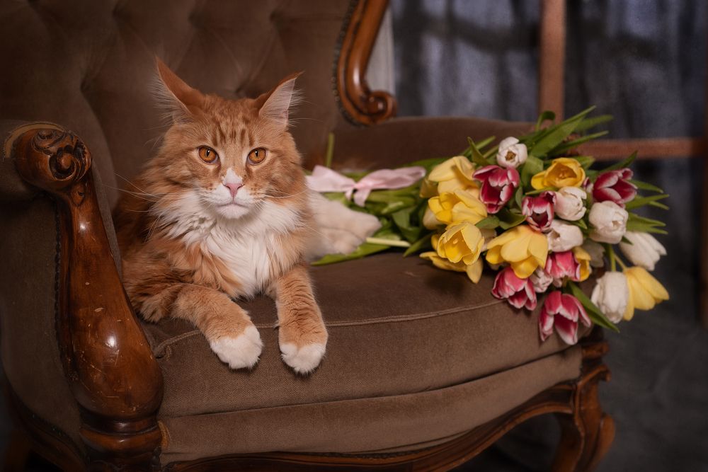 Photograph by Юлианна Волкова