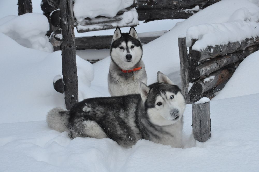 Photograph by Евгений Захаров