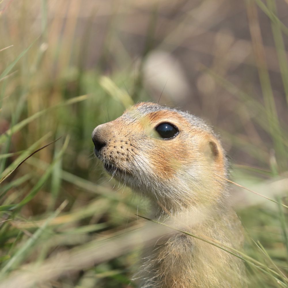 Photograph by Артемий