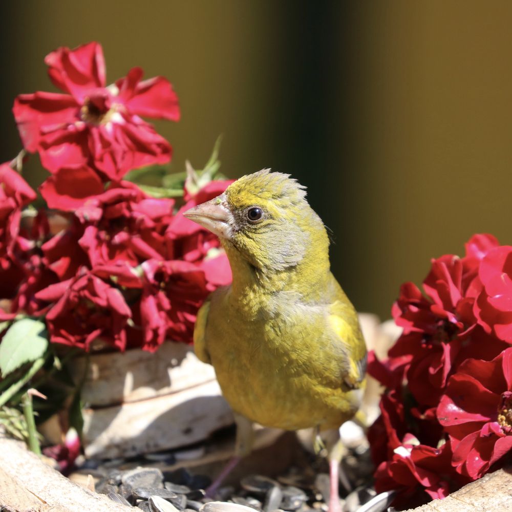 Photograph by Артемий