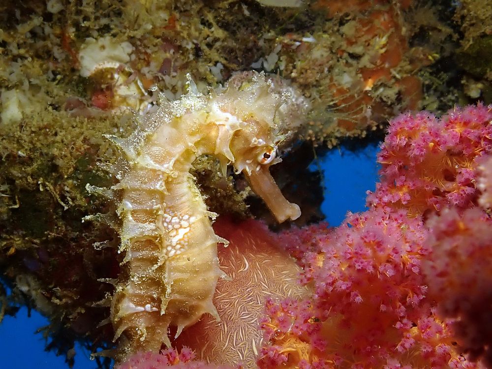 Photograph by Дмитрий Челноков