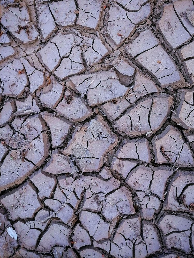 Photograph by Алексей Курочкин