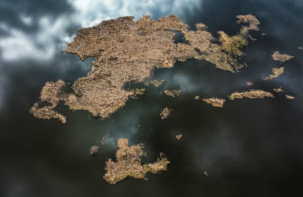 Photograph by Владимир Коновалов