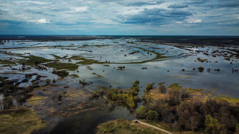Photograph by Владимир Коновалов