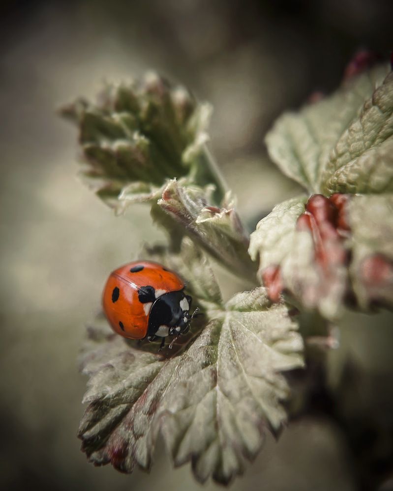 Photograph by Виктория Селютина