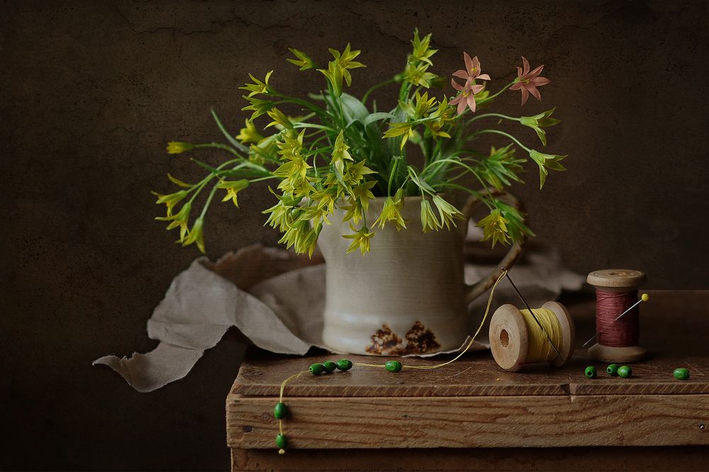 Фотография автора Светлана Дерябина