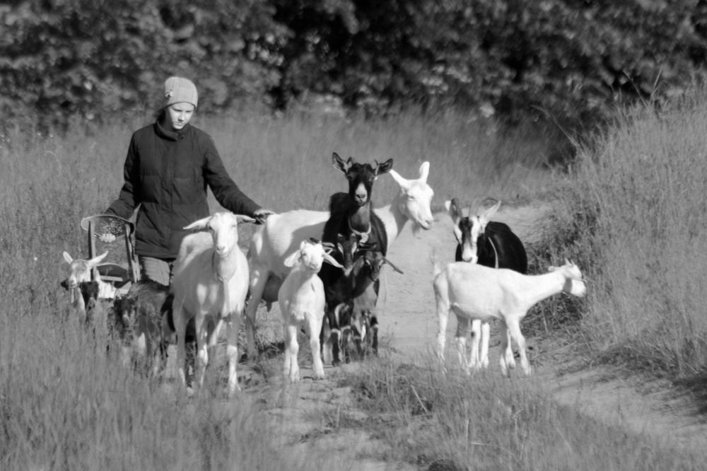 Photograph by Андрей