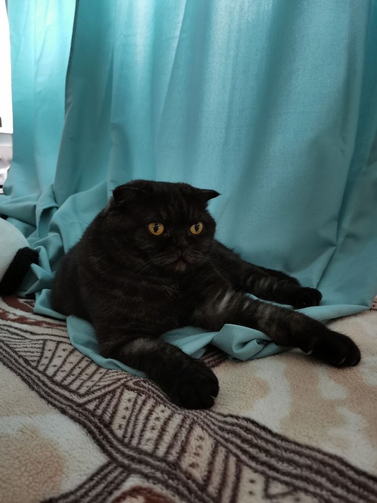 Фотография автора Юлия Лубкина