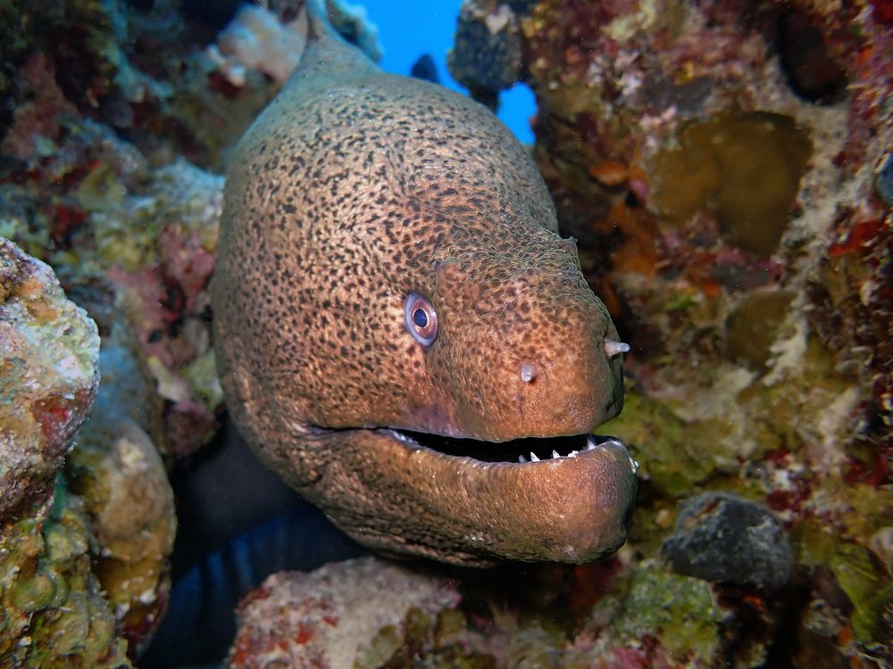 Photograph by Дмитрий Челноков