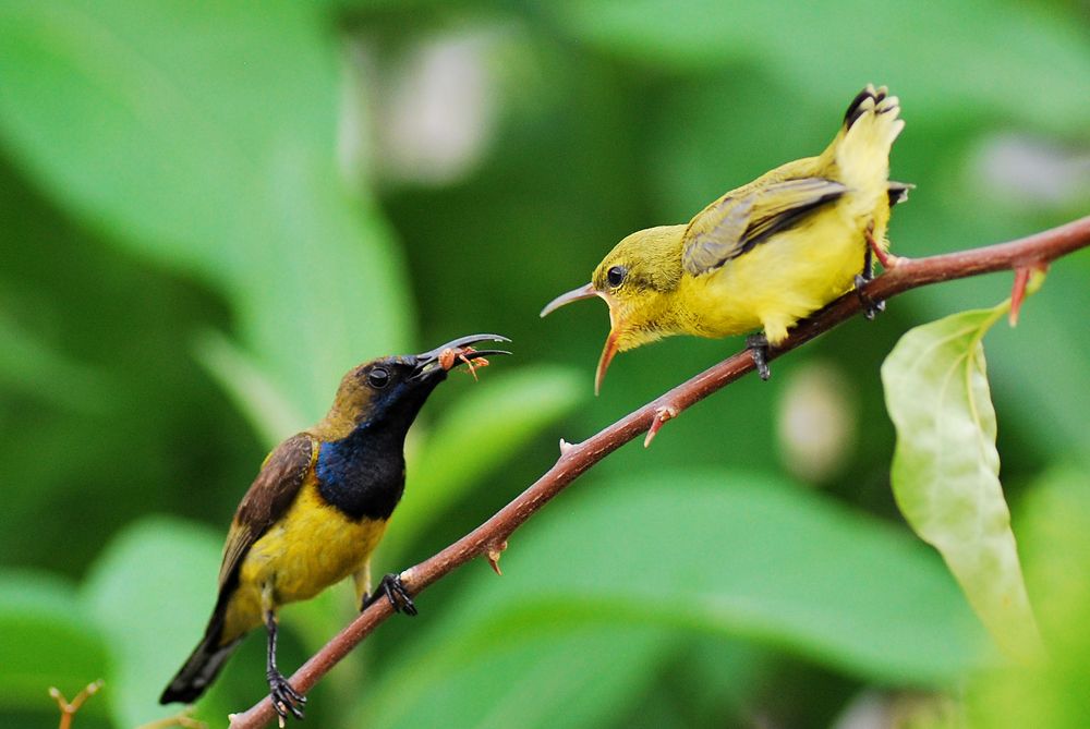 Photograph by Shing Yaw Lee