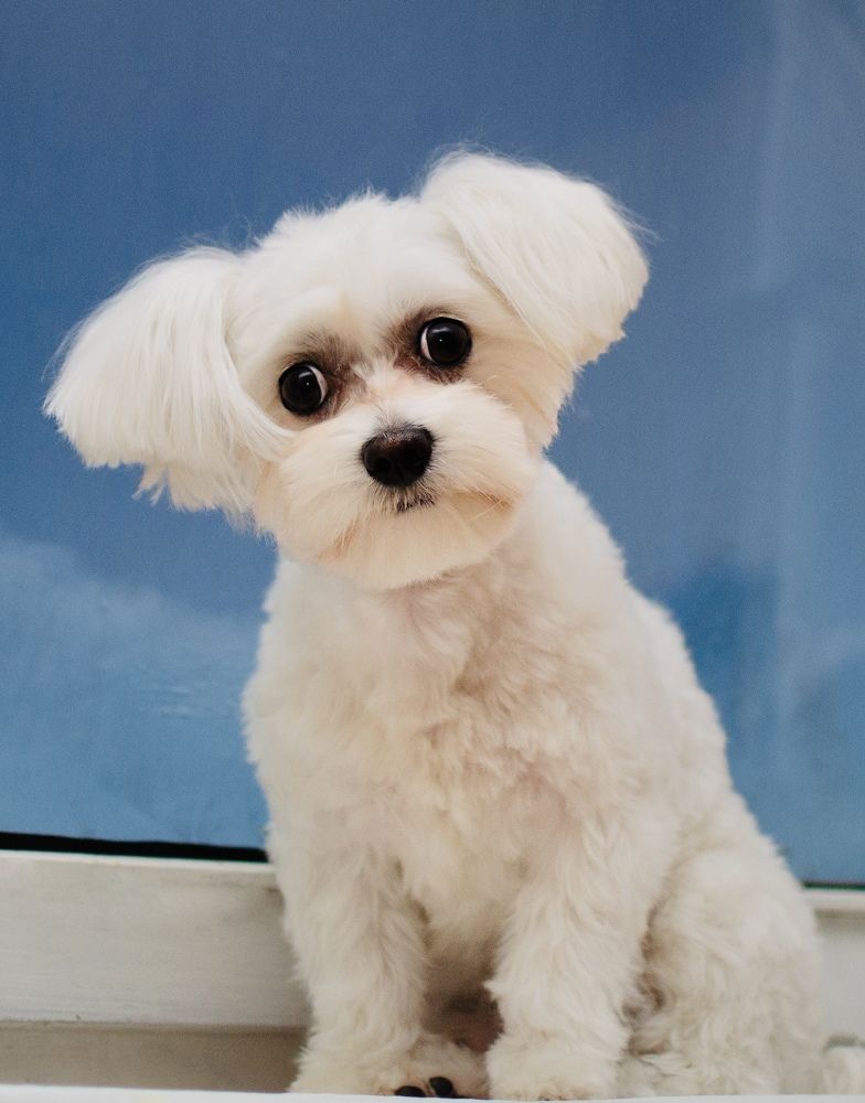 Photograph by Наталья Трусова