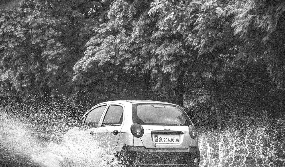 Фотография автора savitri Rawat