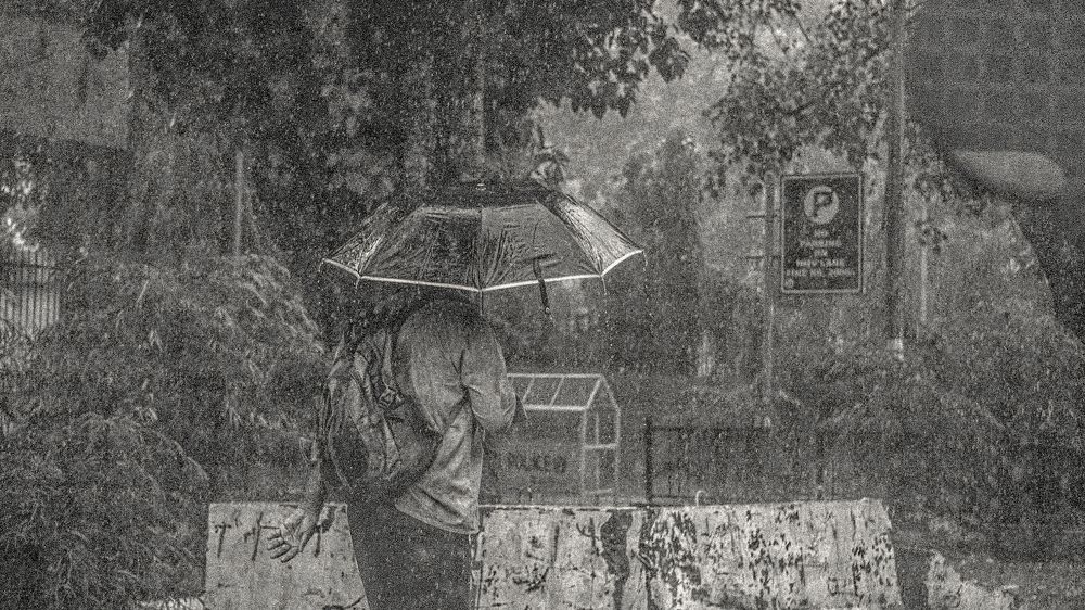 Фотография автора savitri Rawat