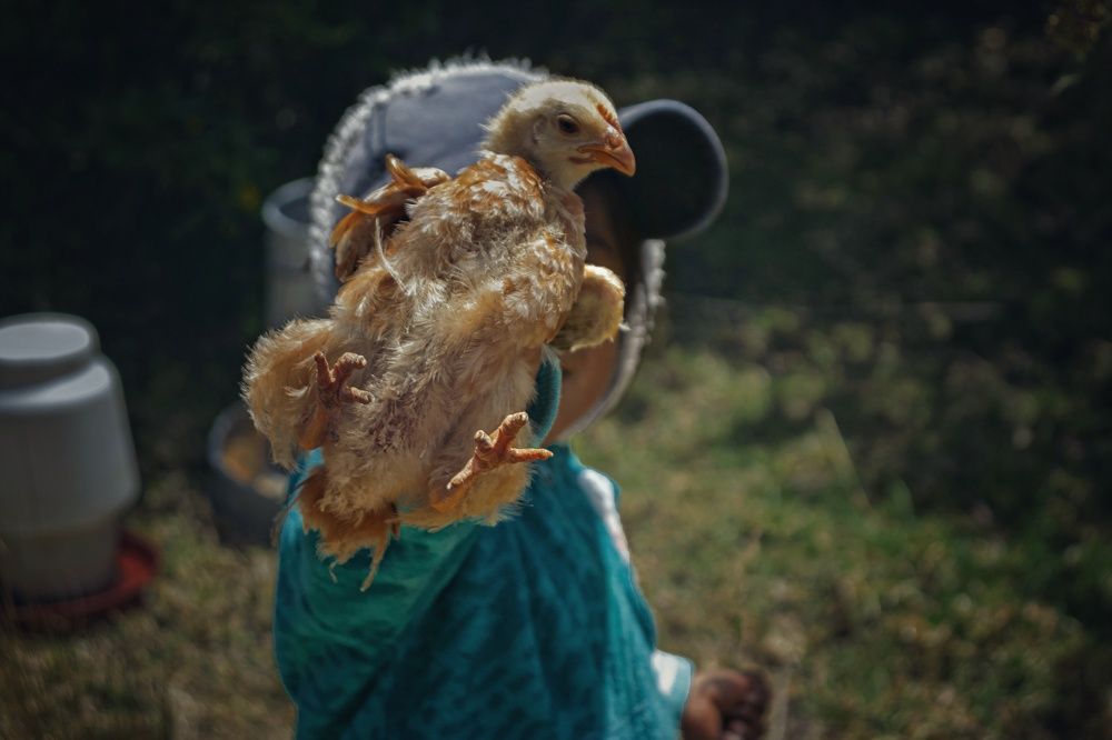 Photograph by Yauri Anrango