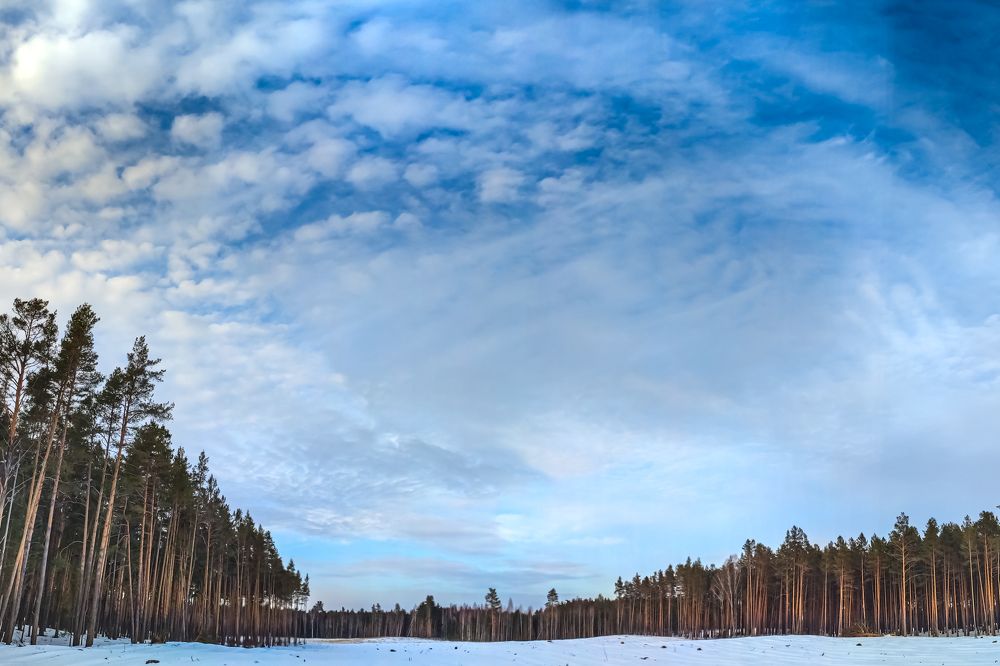 Photograph by Владимир Коновалов