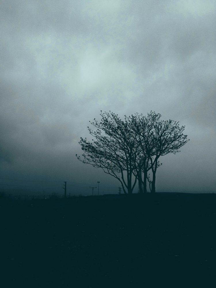 Photograph by Mohammad Ghasempour