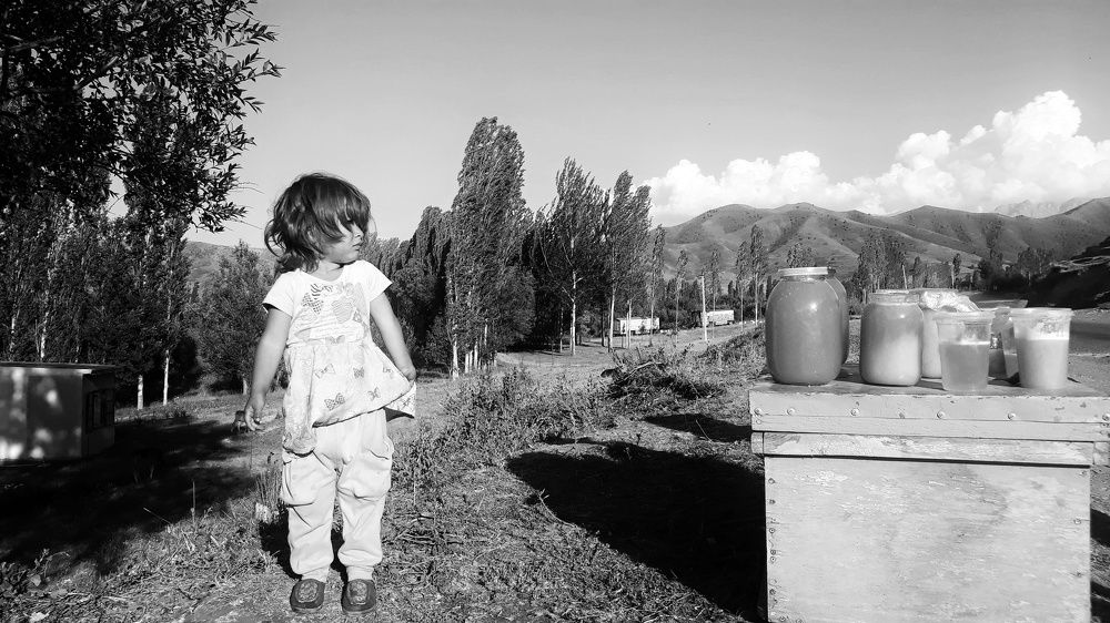 Photograph by Saidbakhovaddin