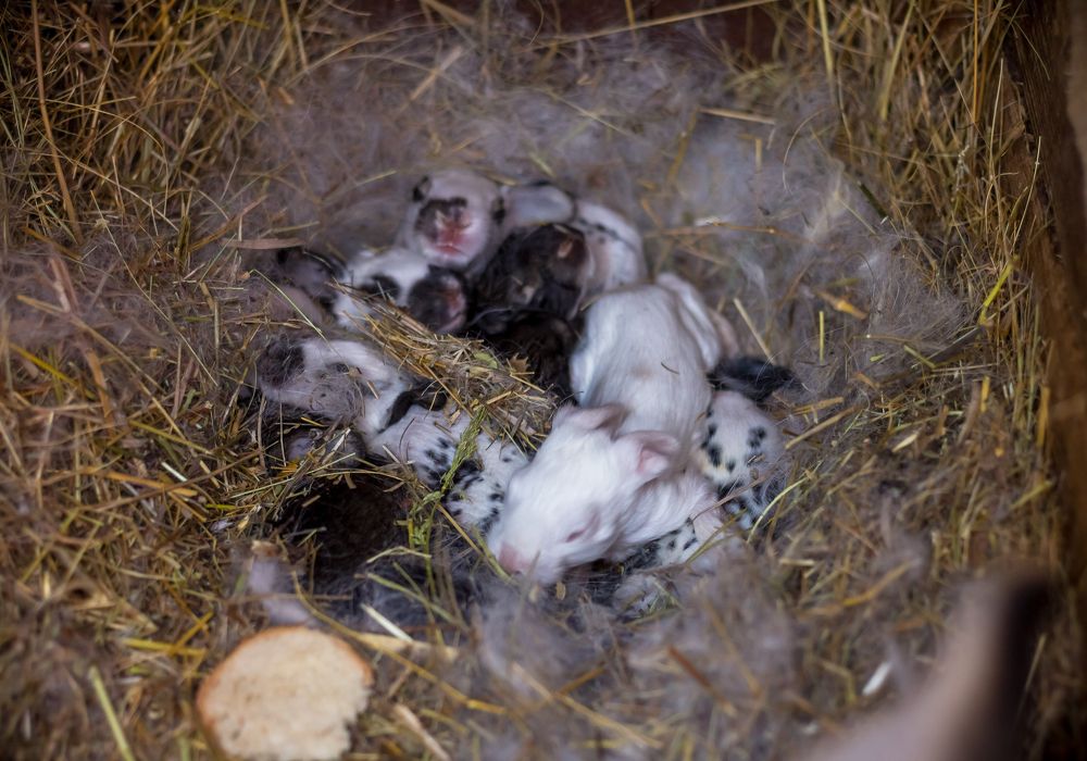 Photograph by Нефедова Ангелина