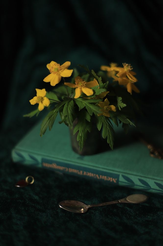 Photograph by Ася Радченко