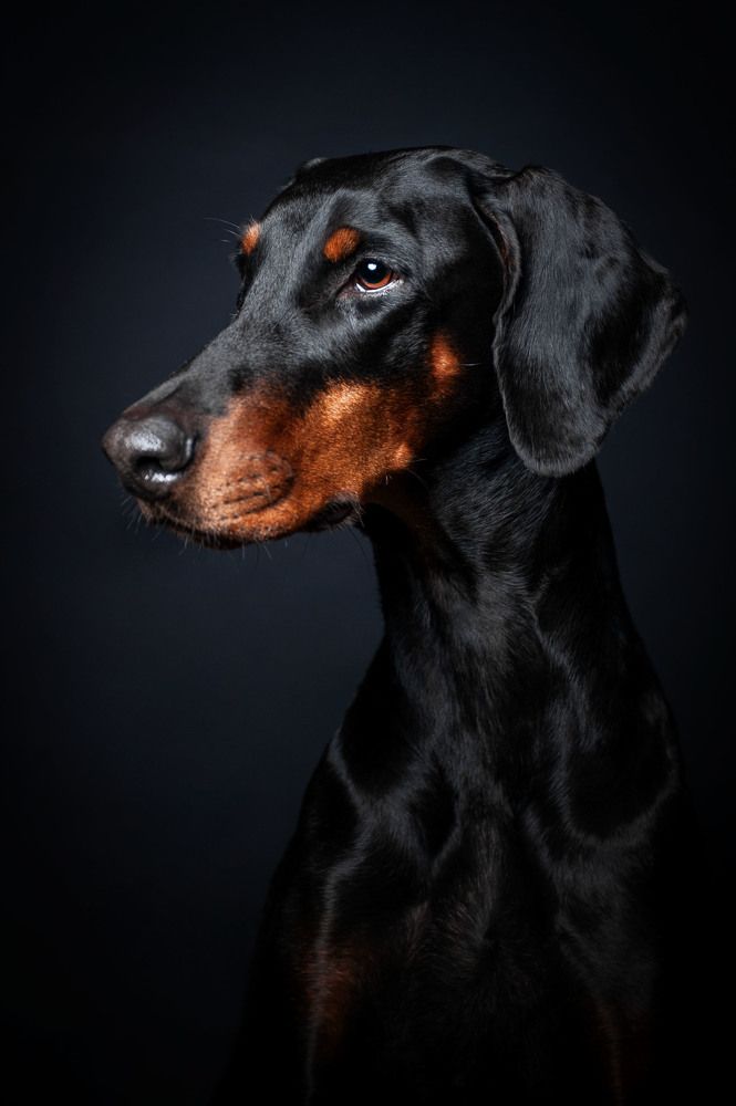 Photograph by Lesnoe Photo