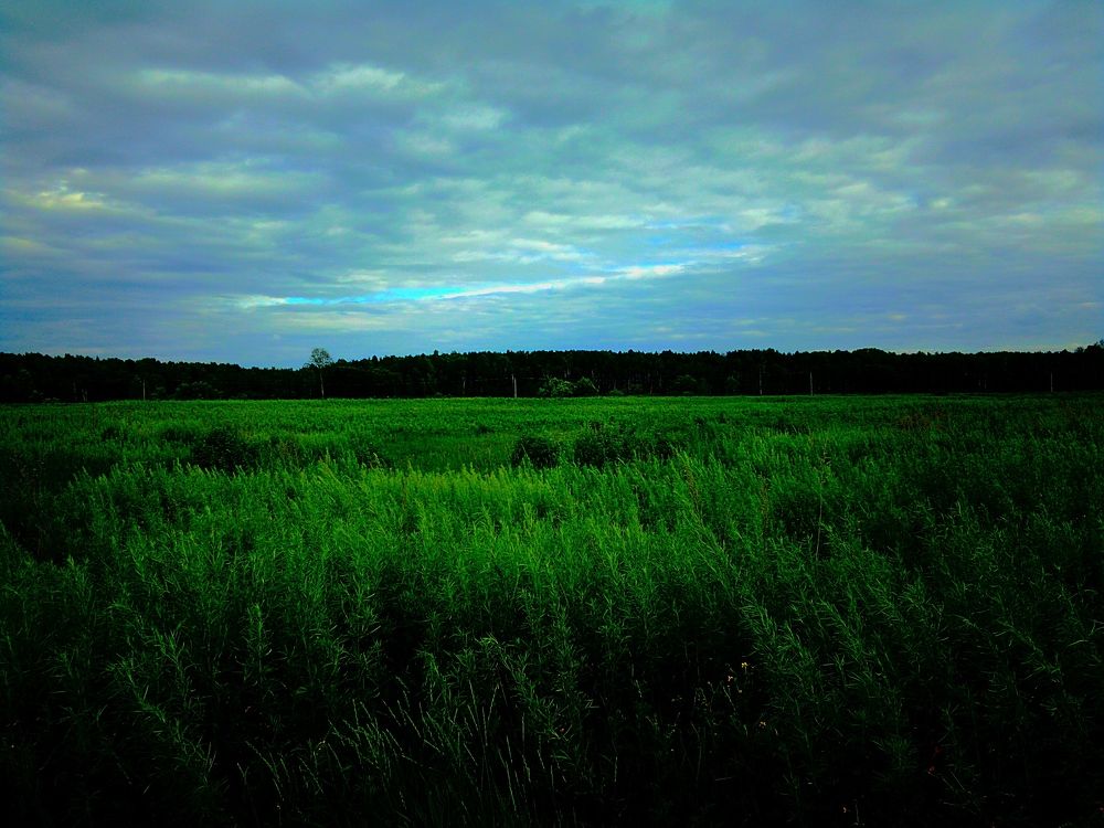 Photograph by Александра
