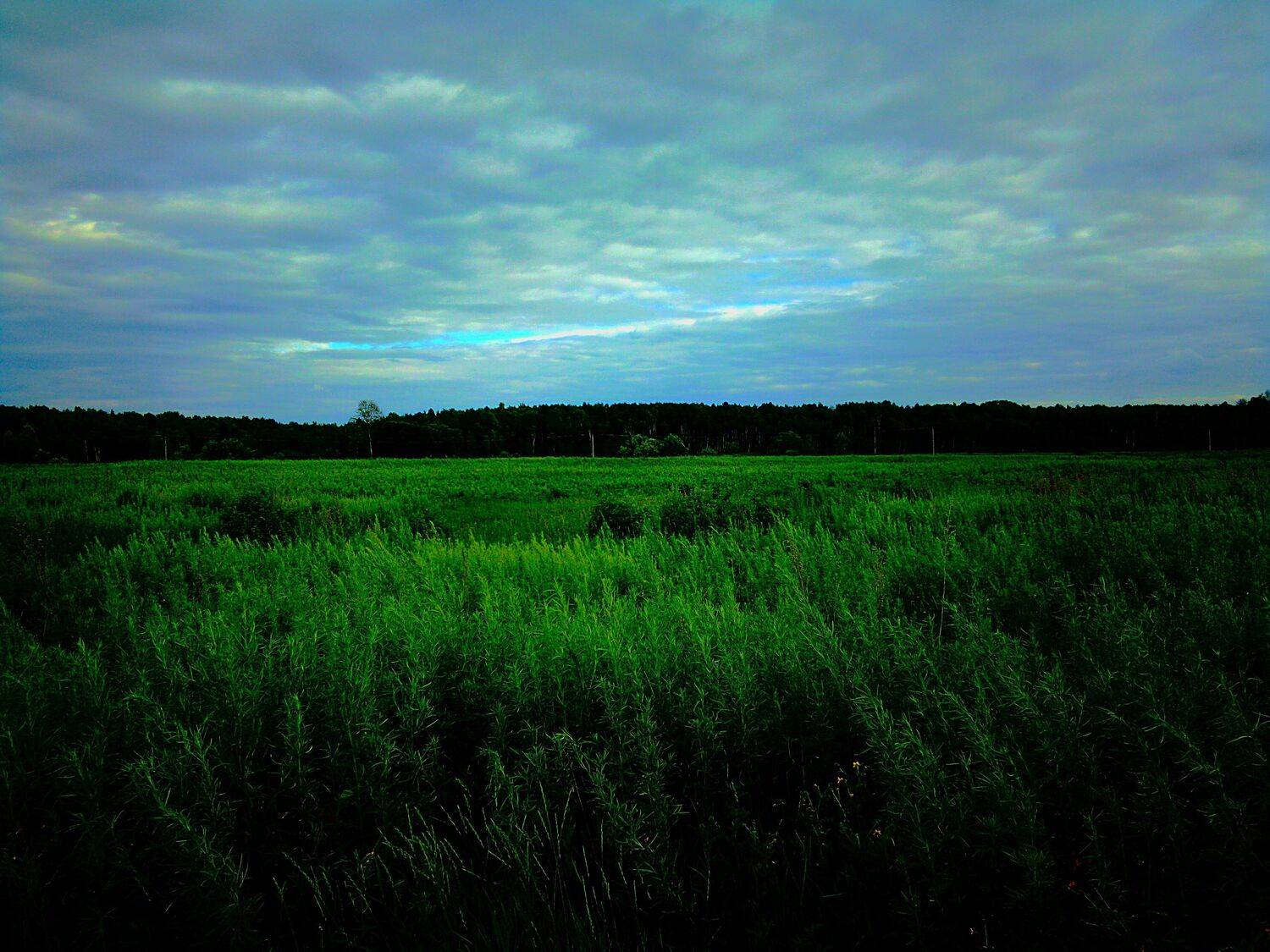 Photo #7527216
