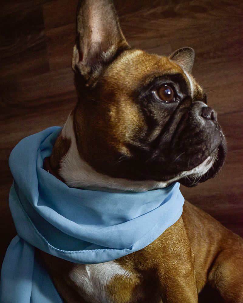 Photograph by Татьяна Павленчук