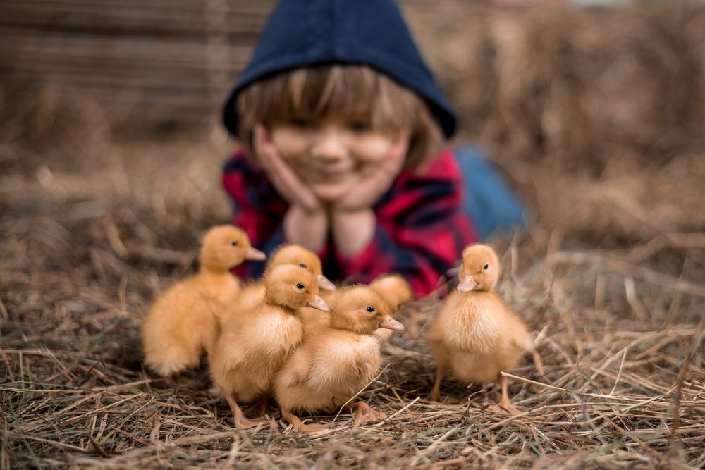 Photograph by Юлия Тарасова