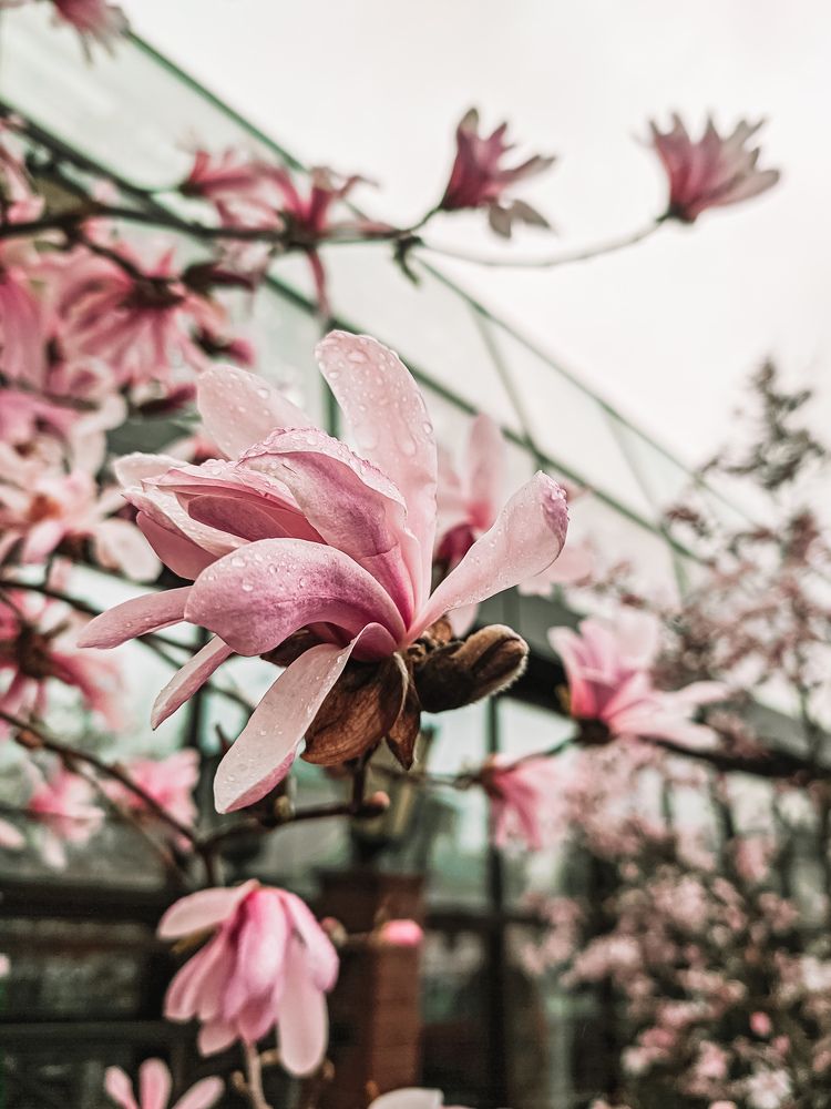 Photograph by Юлия Гашева