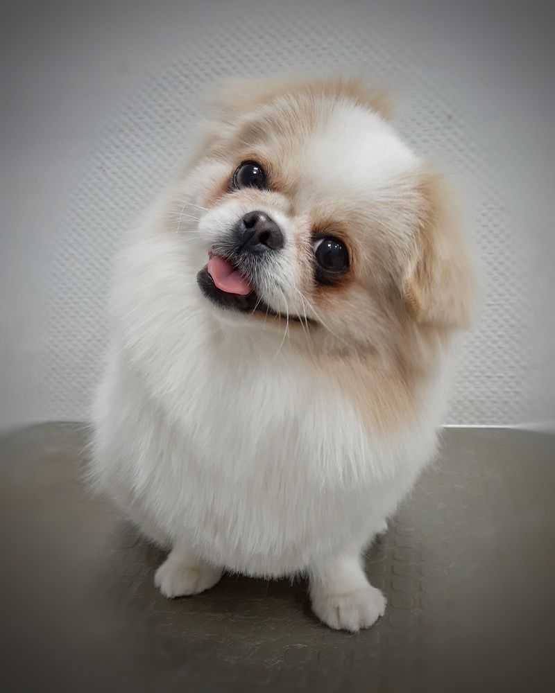 Photograph by Бакшеева Марина