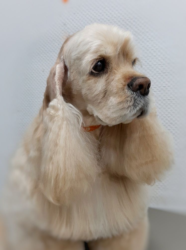 Photograph by Бакшеева Марина