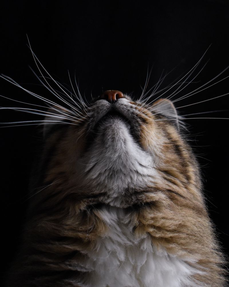 Photograph by Татьяна Носкович