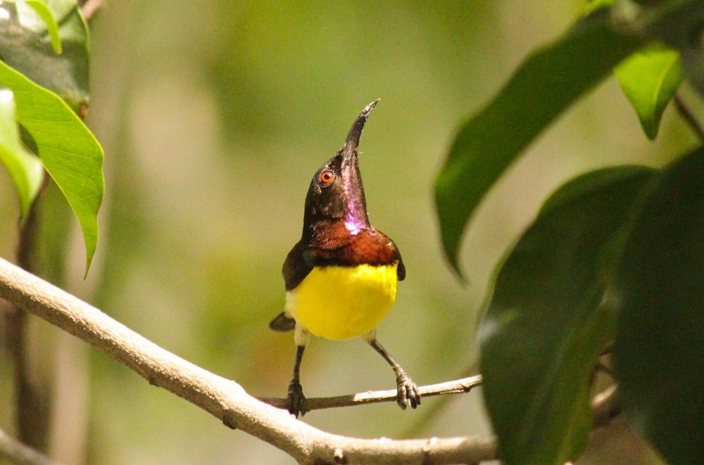 Photograph by Mathew Nishanth A