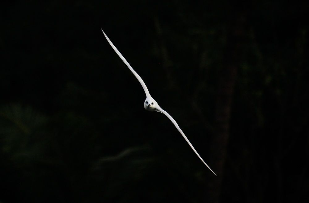 Photograph by Mathew Nishanth A