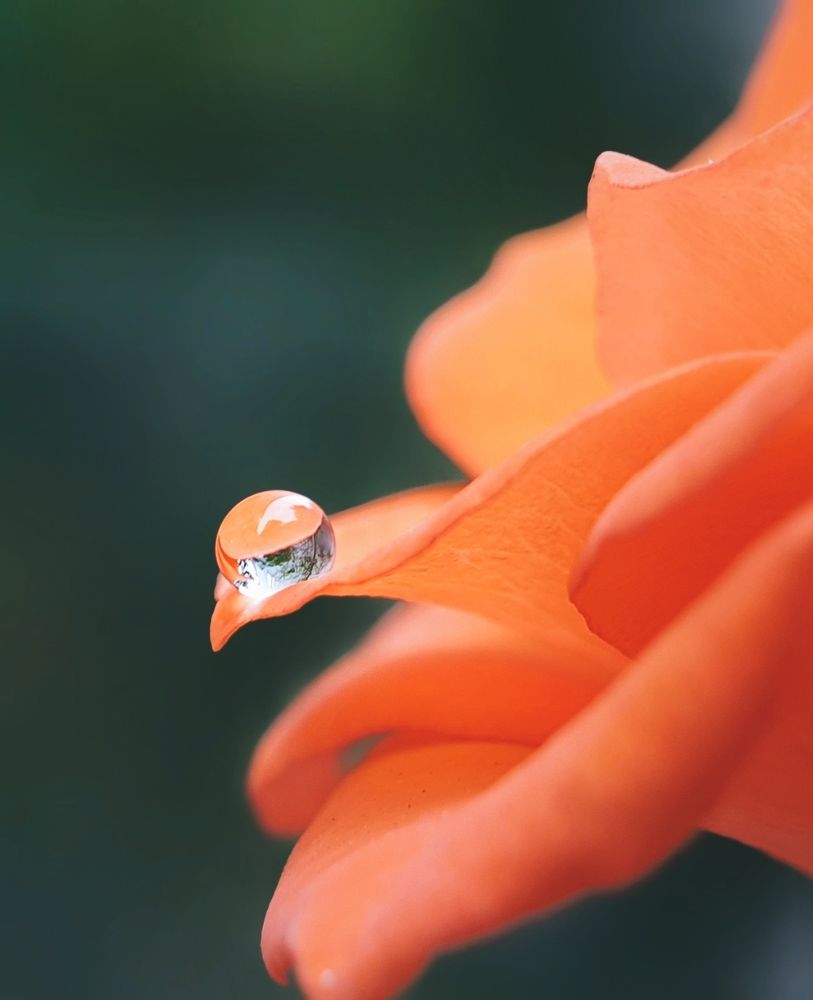 Photograph by NGUYỄN LIÊN